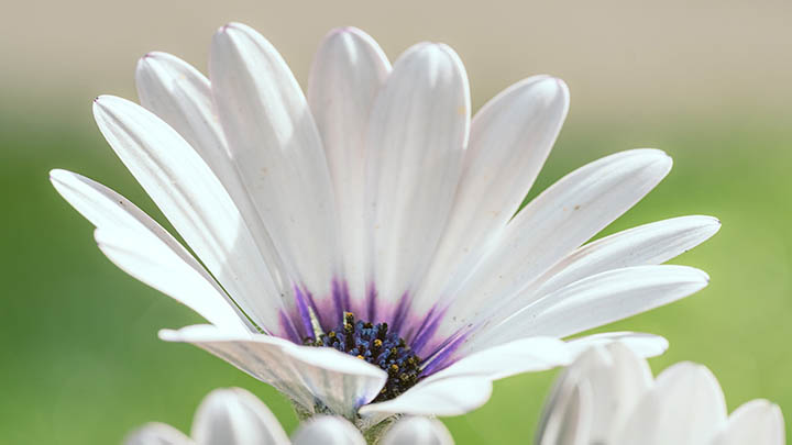 如何确保WPS下载安全无忧？全面指南助你轻松规避风险 二