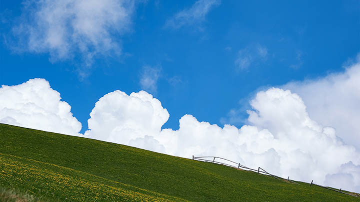 WPS软件下载指南三步走Win/Mac覆盖全平台 二