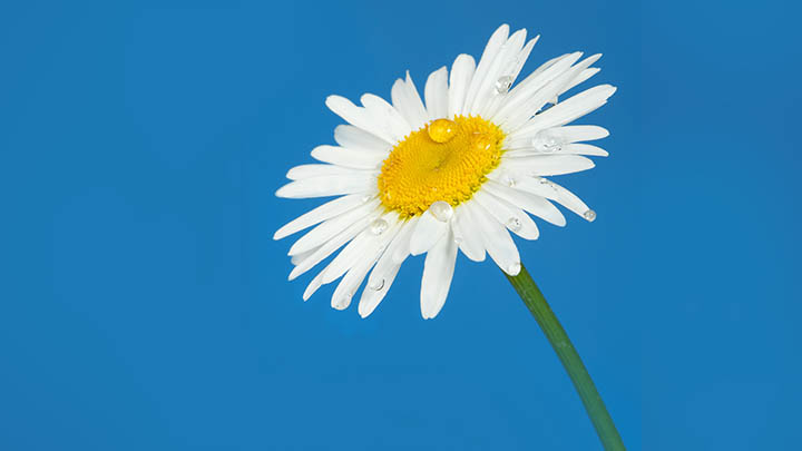 如何下载安装红色WPS?全面攻略:下载渠道+安装步骤解析 二