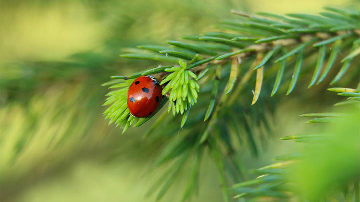 WPS链接分享攻略2025年：免费下载指南与实用教程 二