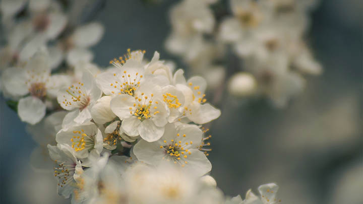 WPS软件安装：轻松下载全新指南 二