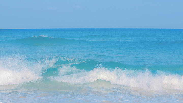 WPS免费下载使用完整指南：全平台下载安装详解 二