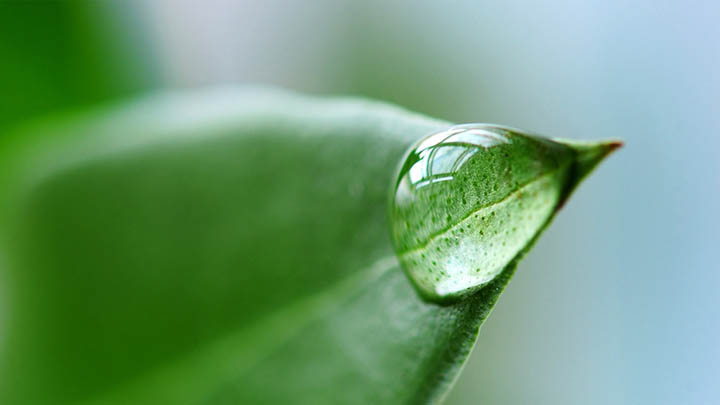 WPS下载路径揭秘+详细查看步骤 二