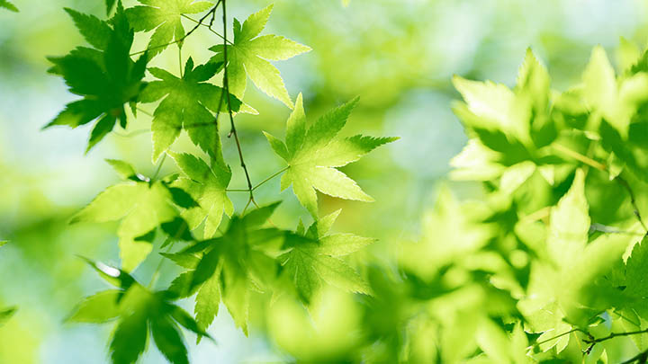 下载WPS软件使用指南：官方安装步骤和技巧解析 二