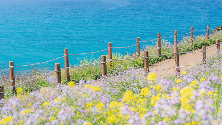 如何下载WPS安装包？全面教程解析 二