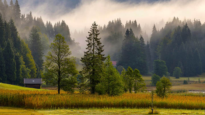 WPS公式下载技巧 + 最新实用指南2025年 二