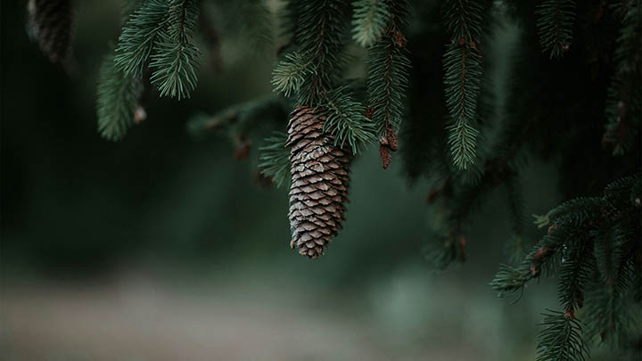 WPS编辑完后怎样下载？全方位指导攻略 二