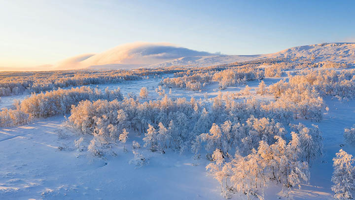 计算机如何轻松下载WPS？详细教程解答 二