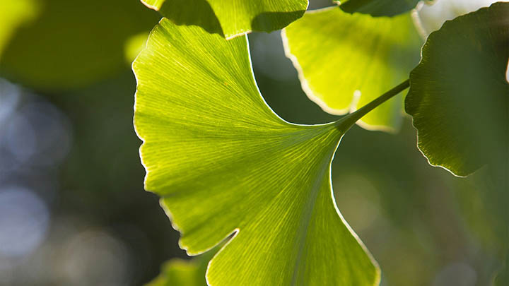 WPS下载PS全攻略：三招轻松搞定 二