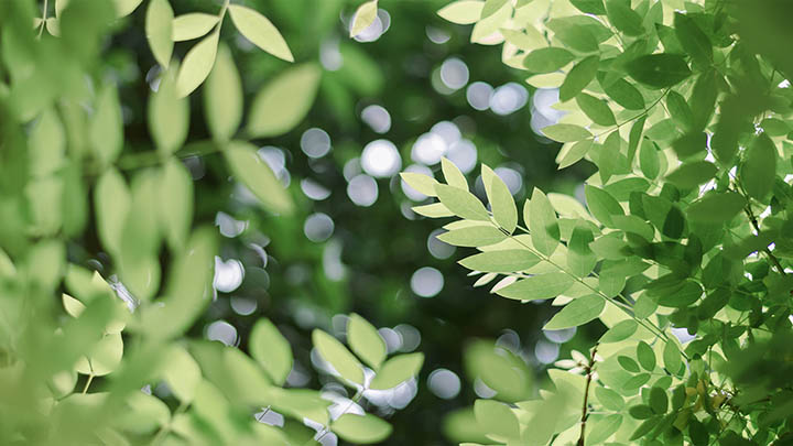 WPS软件下载指南，快速获取最新版方法详解 二