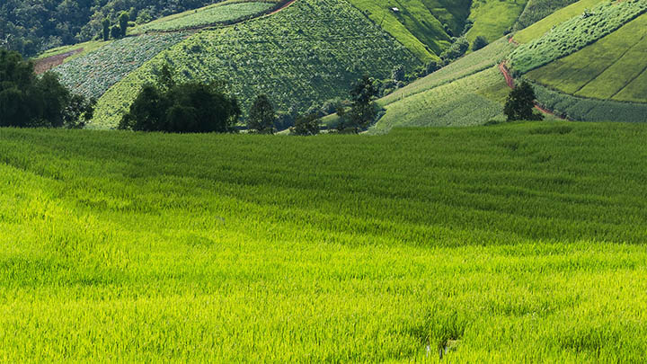 免费WPS下载全流程解析，超全图文教程轻松获取WPS办公软件 二