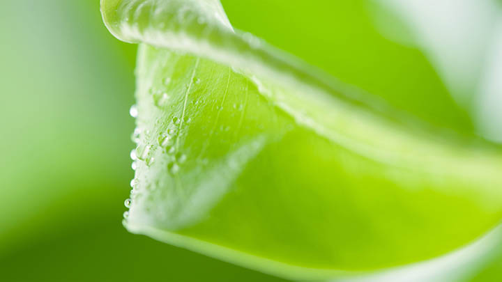 WPS官方下载快速指南适用Win/Mac 全平台 二