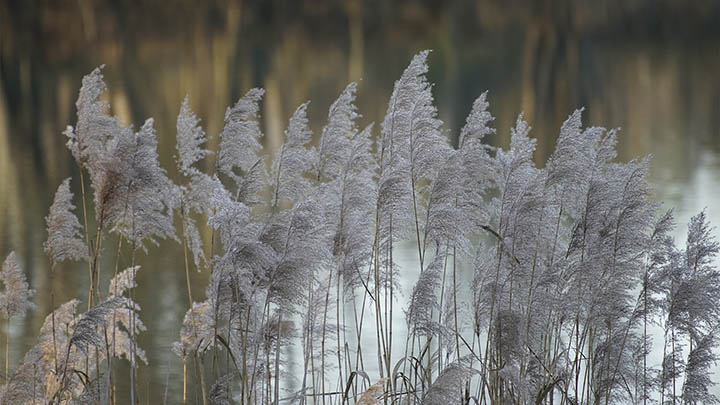 WPS兼容下载攻略:3步轻松获取无忧体验 二