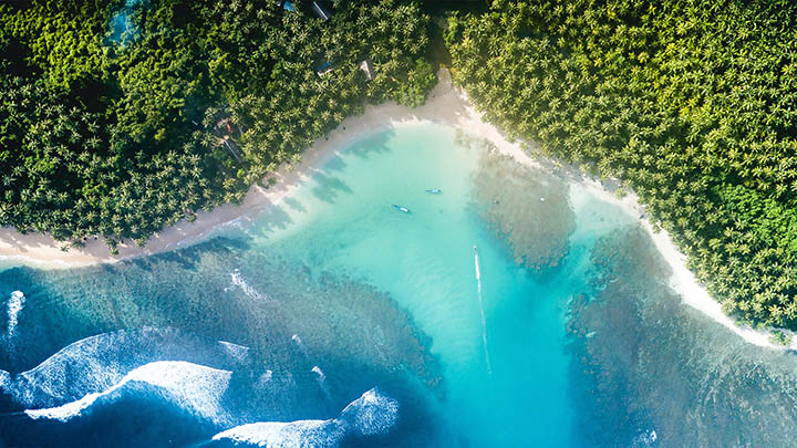 WPS如何下载TXT文件？轻松3步搞定 二