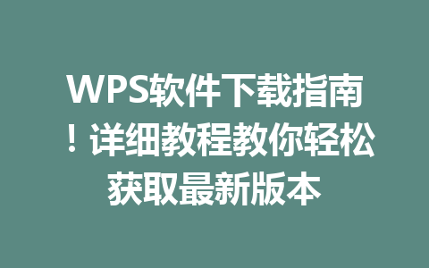 WPS软件下载指南！详细教程教你轻松获取最新版本 一