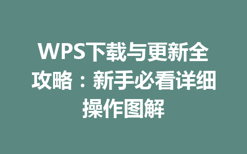 WPS下载与更新全攻略：新手必看详细操作图解 一