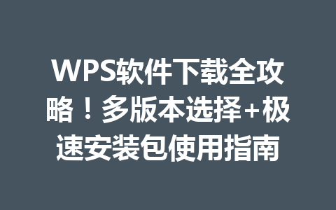 WPS软件下载全攻略!多版本选择+极速安装包使用指南 一