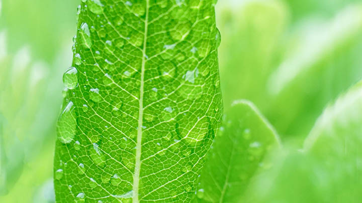 新机下载WPS:免费安装包教程详解 二