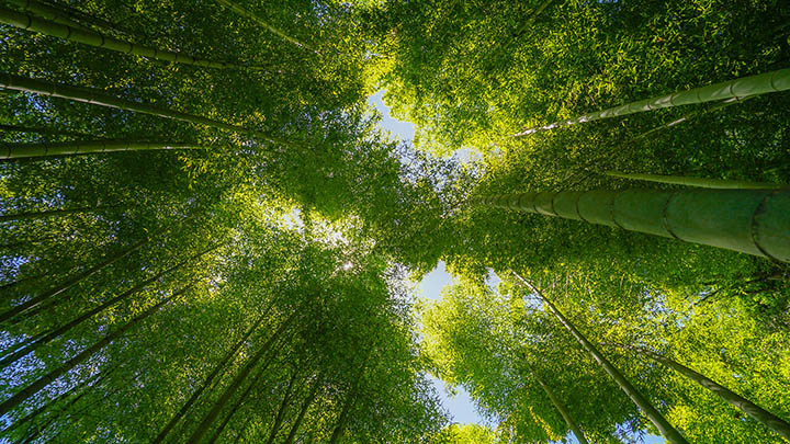 WPS下载:汉化教程全解,极速设置三步搞定 二