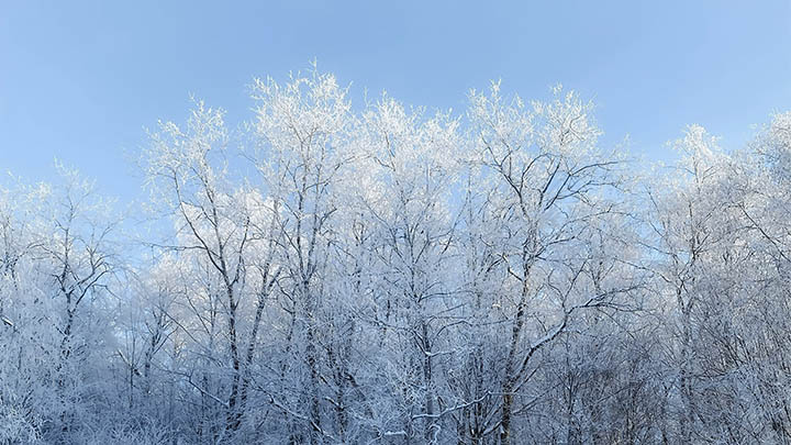 WPS如何下载韩文字库?详细教程+官方资源入口 二