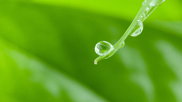 谷歌下载WPS全攻略：最简单途径完全解析 二