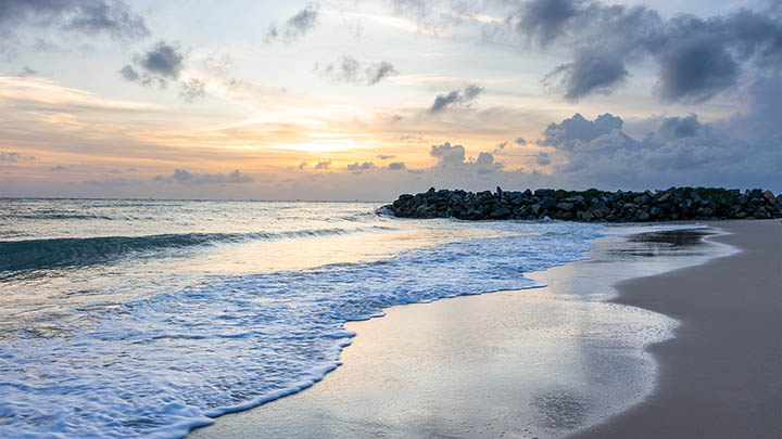 WPS如何快速下载素材？超实用技巧全解 二