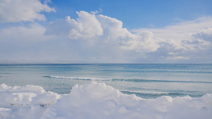 WPS插件下载教程:官方渠道详细解析 二