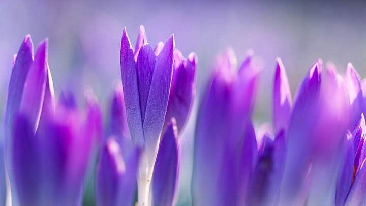 WPS如何更新下载：最新版安装指引3步骤 二