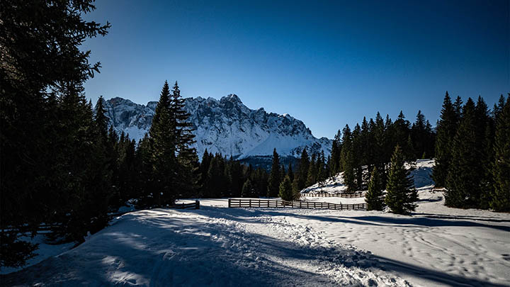 Windows如何下载WPS？最新安装攻略全解 二