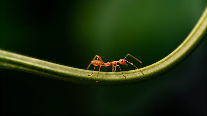 WPS版本多样下载指南/完整图解/安全无忧安装流程详解 二