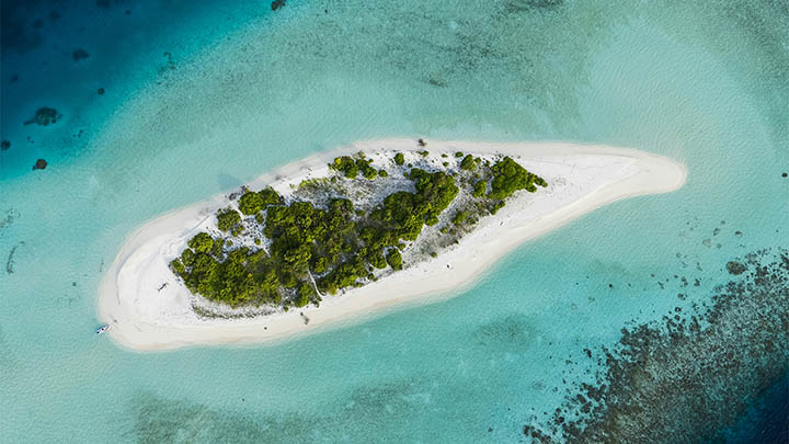 WPS软件下载:简单3步获取教程 二