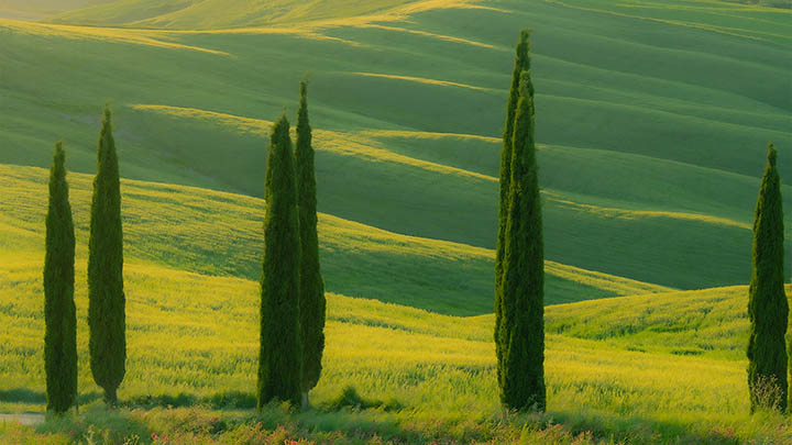 快速掌握WPS演示下载技巧全攻略，包括详细安装流程图解2025年 二