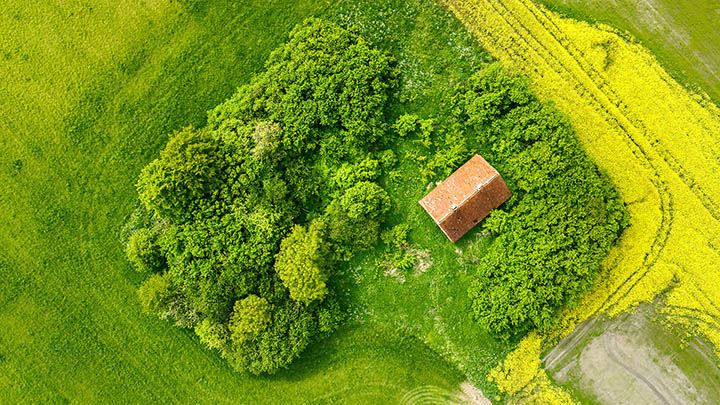 WPS如何操作下载：简单3步实用指南 二