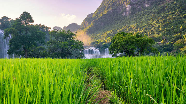 电脑端网页下载WPS全过程图解教程 二
